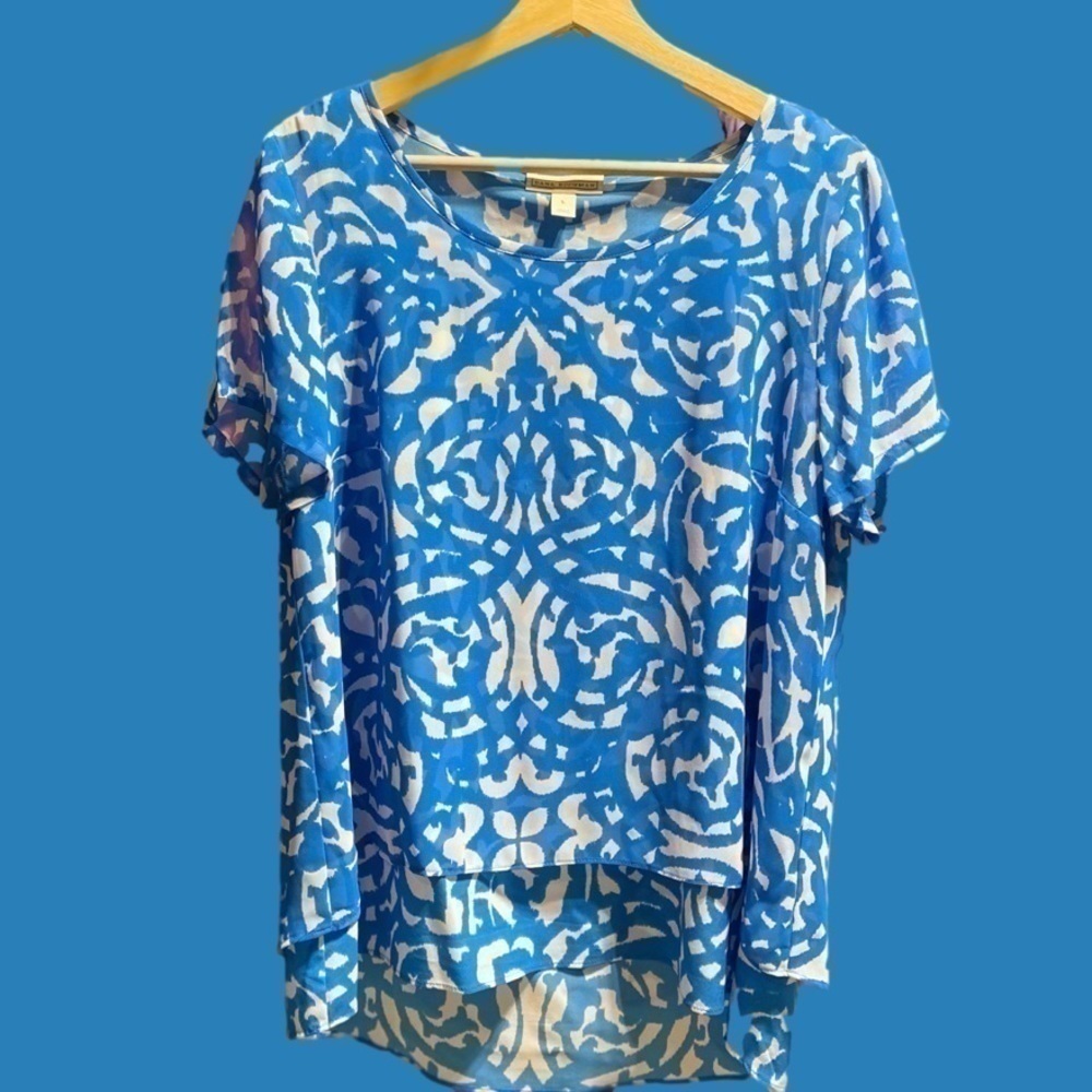 DANA Buchman gorgeous blue & white top